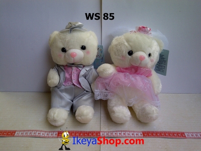 WS 85  large2